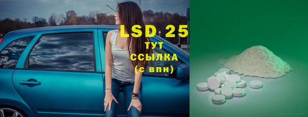 прущий лед Горняк