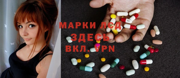 мяу мяу мука Горно-Алтайск