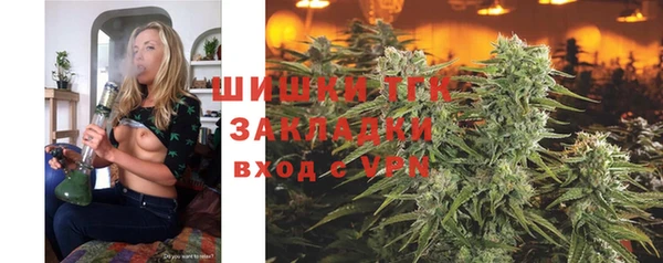 мяу мяу мука Горно-Алтайск
