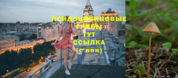 мяу мяу мука Горно-Алтайск