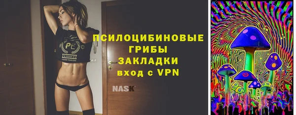 мяу мяу мука Горно-Алтайск