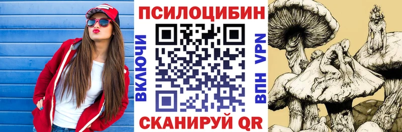 Купить закладки  Торжок  Галлюциногенные грибы прущие грибы 